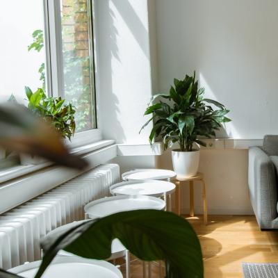 Kancelář Půjčovny Škorpík